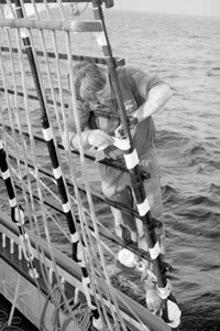 Daniel dans les haubans.